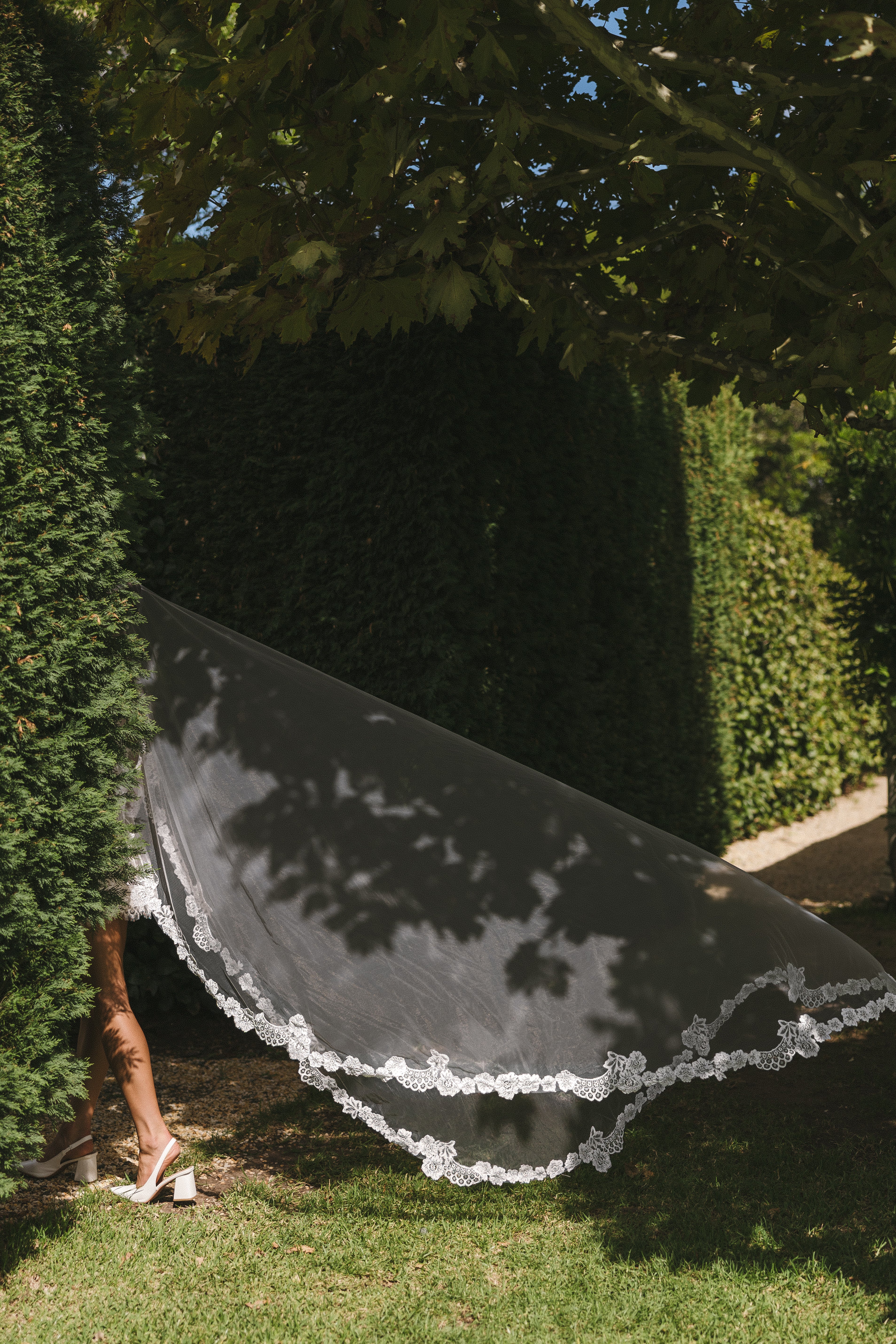 Lottie Lace Veil